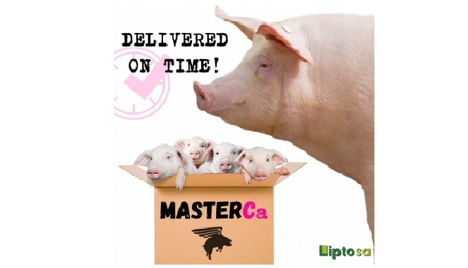 MasterCa : complementary feed for peripartum and lactation in sows