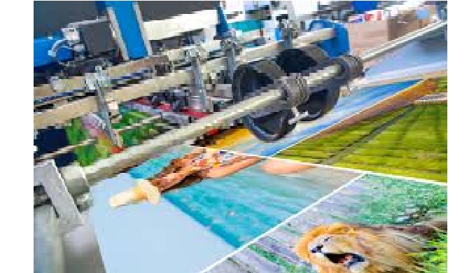Paper coating binders Paper coating additives Synthetic pigments for paper production.