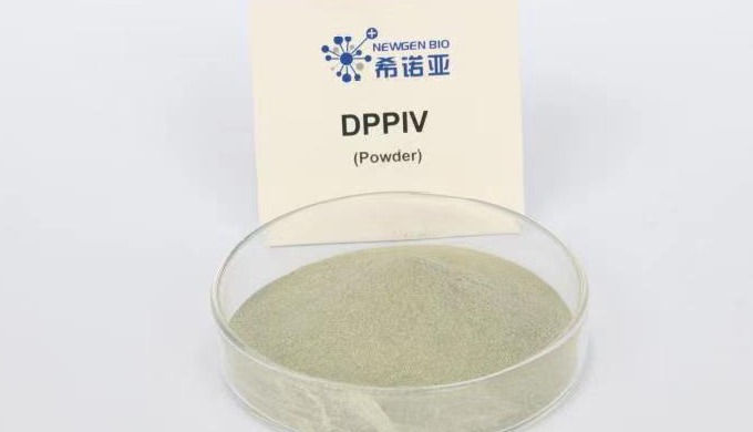 1) Anti-inflammatory, swelling effect: 1}. Inflammatory model of rats with ...