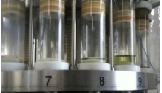 Llenadoras de aceite para latas rectangulares