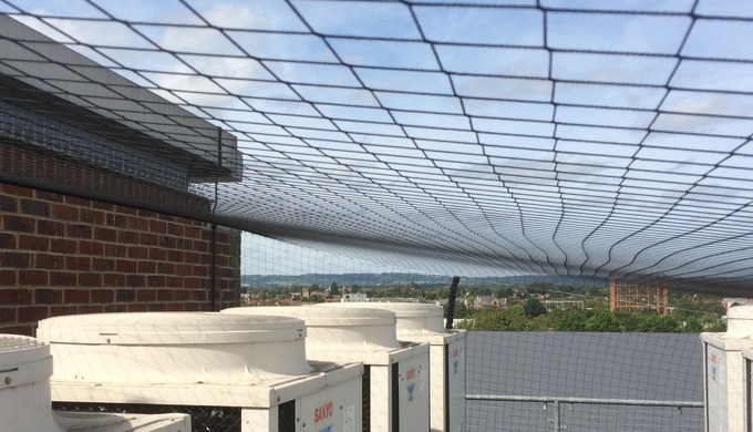 Controlling a pigeon infestation over a vast area can be achieved with pigeon netting We can install...