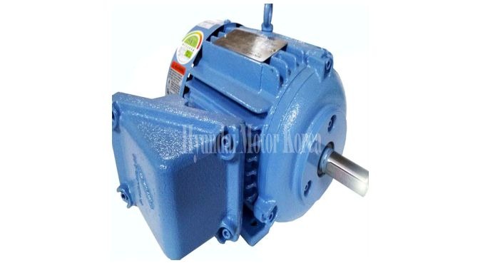 PRODUCTS BY HYUNDAI HEAVY INDUSTRIES EXPLOSION PROOF MOTOR LOW VOLTAGE, 0.4KW~500KW, 220V~600V KS, I...