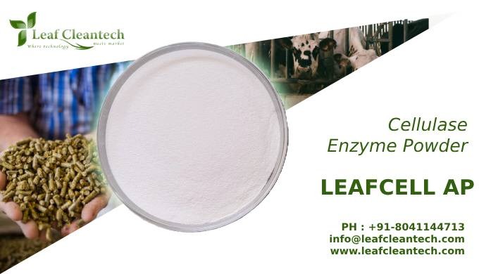 LEAFCELL Cellulase enzymes supplement the animals' natural digestive processes by breaking down cell...