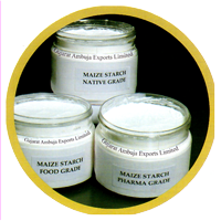 maize-grain-trans