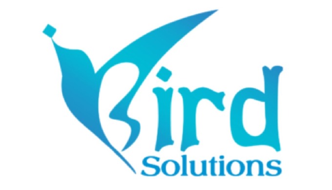 Digital Marketing Agency in Ahmedabad | iBird Solutions