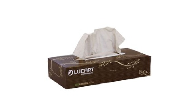 Caja de pañuelos de papel Econatural facial estuche 40 UDS. REF.CE2000571