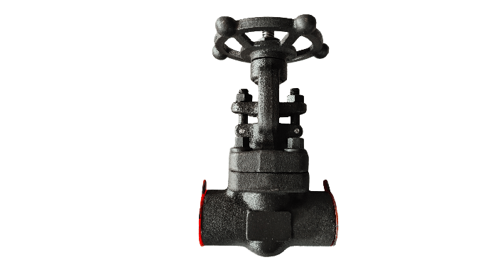API602-GATE VALVE-800LB A105 NPS1/2-NPS2