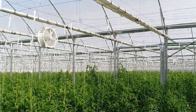 Netafim™ Greenhouse, l'un des principaux fournisseurs mondiaux de soluti ons de serres, a acquis une...