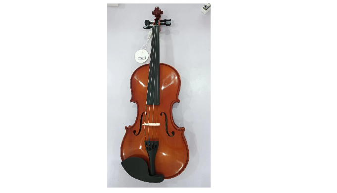 Top: Spruce Back&Side: Linden Plywood Fingerboard: Rosewood Peg : solid wood Tailpiece :carbon f...