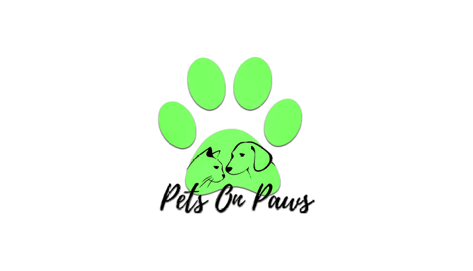 Pets on paws is the UK's biggest online pet store. We have everything that your cute, cuddly, and lo...