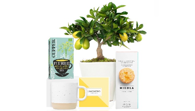 LEMON FRUIT TREE WITH SWEET PRODUCTS BREAKFAST