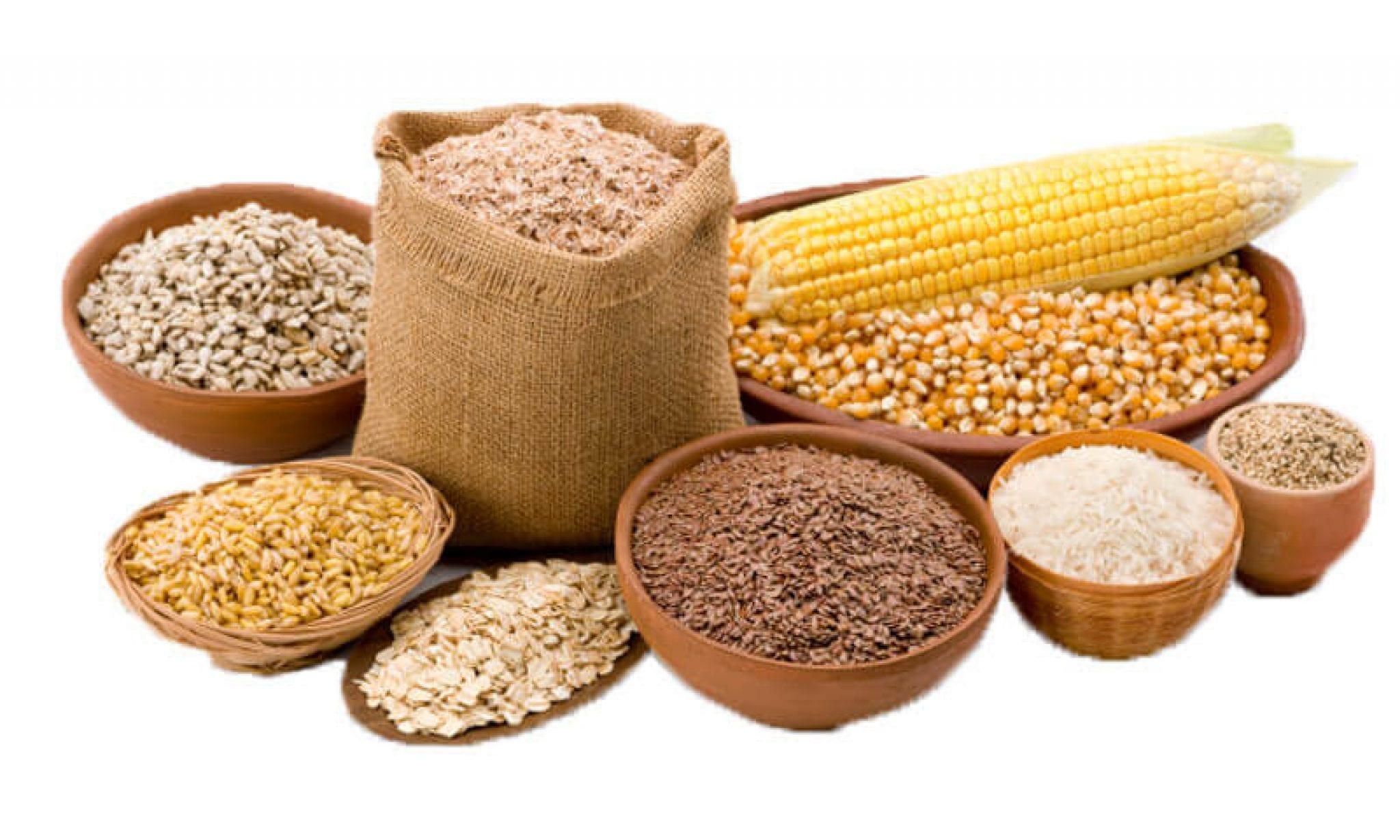 Gujarat Ambuja Exports Limited produces animal Feed Ingredients such as corn gluten meal and other p...