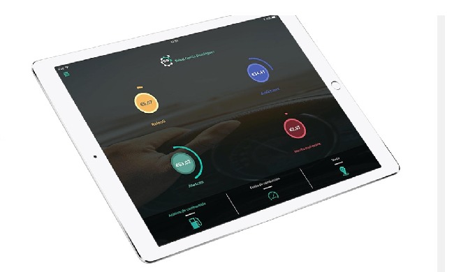 Software de gestión de flotas de vehículos