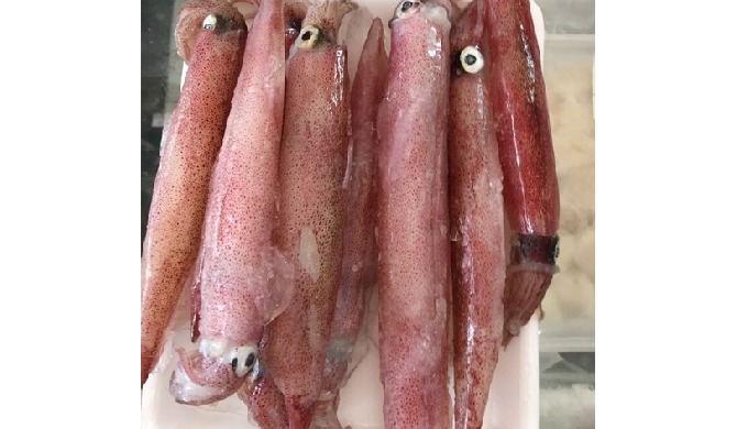 Variety: Squid Type: Salted egg squid Packing: Customizable Style: FROZEN Packaging: Vacuum Pack She...