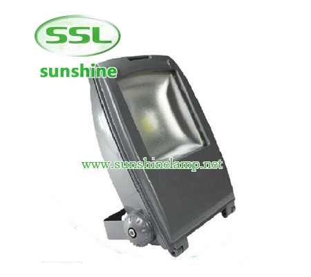 Die-casting aluminum housingAC85~265V input optionsOptical grade diffused lensGraduated angle scaleB...
