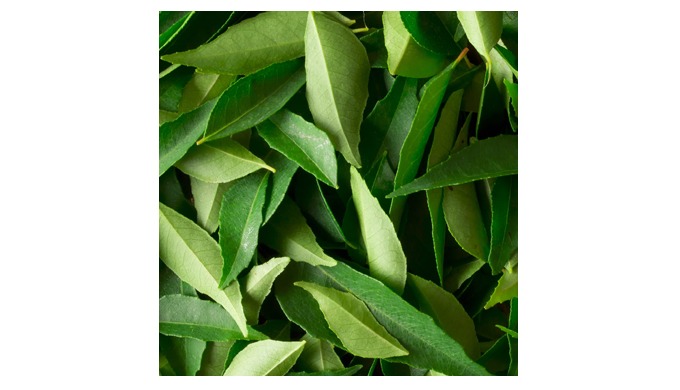 Dried curry leaves keep well but are less flavourful than fresh ones. If using dried curry leaves re...