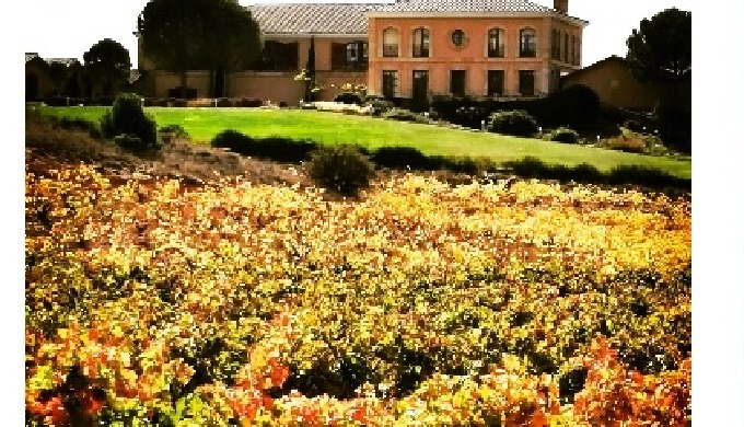 Inclusiones Recogida y devolución en domicilio Visita completa en 3 bodegas de prestigio Cata coment...