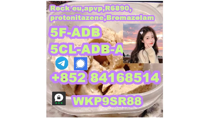 Telegram/signal: +85284168514 ThreeMa: WKP9SR88 E-mail: wvqvmhjbfgurh@outlook.com ———————————————— H...
