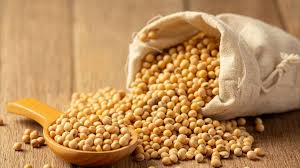 Gujarat Ambuja Exports Limited produces a range of soya-based derivatives including soy flour, soya ...