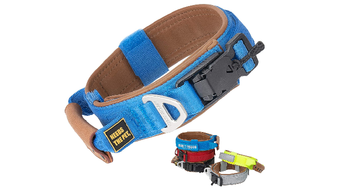 The Comfort Collar, Soft Cowhide Padded Dog Collar for All Breeds, Reflective Patch - VARIOUS SIZE –...