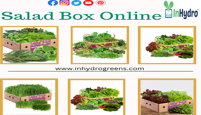 If you’re looking to buy hydroponic vegetables in Delhi, Salad Box Online offers a wide range of fre...
