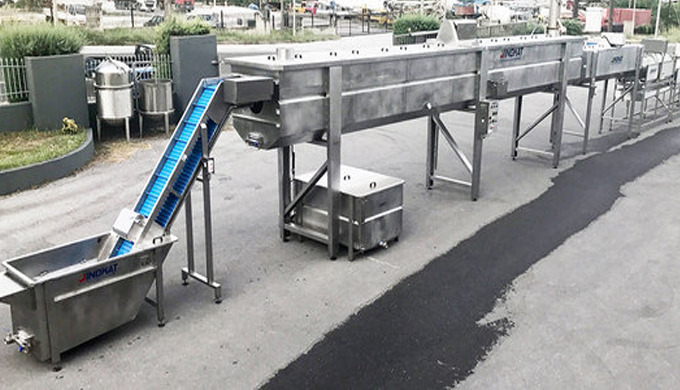 snail - shell processing line machineries