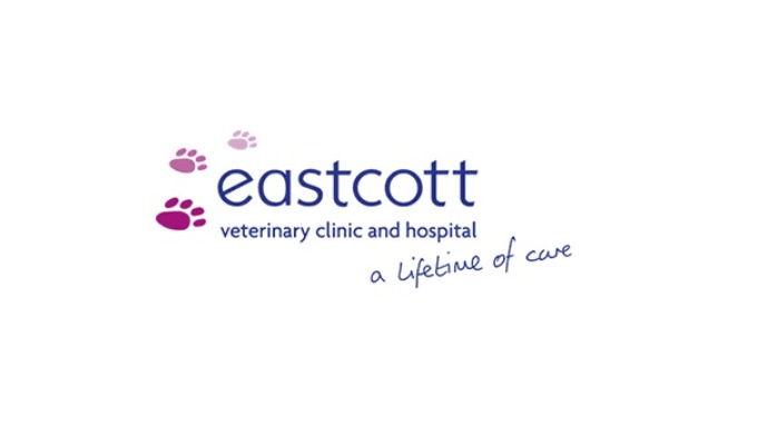 Vet appointment, vet consultation, Pet vaccination, Cat vaccination