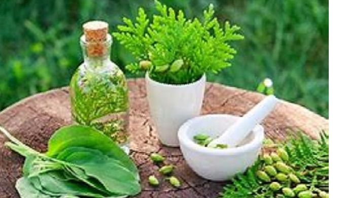 We Provide all kind of Harbel Extract for the pharmaceutical and cosmetics industries
