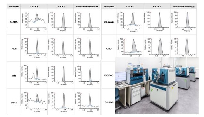 Simultaneous determination of 28 of neurotransmitters and their metabolites {GABA, glutamate, aspart...