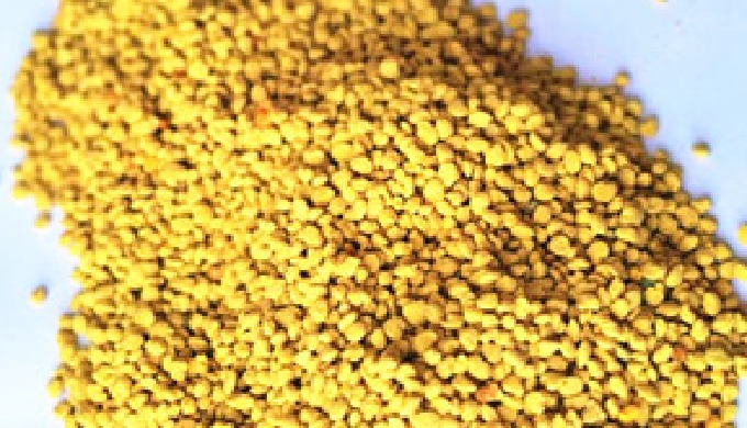 Pollen is a natural food,not a drug.bee pollen contains every know vitamin,a large range of minerals...