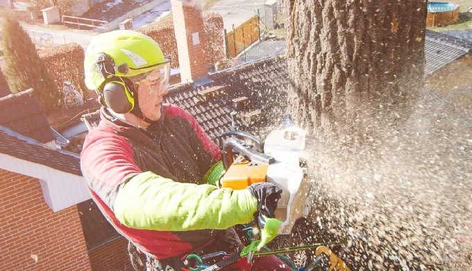 Welcome to Coventry Tree Removal by Coventry Tree Services! Among the green spaces and historic land...