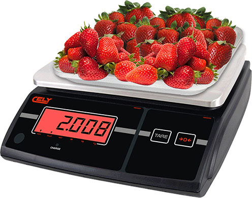 WEIGHT ONLY SCALES PS-65 CW SERIES