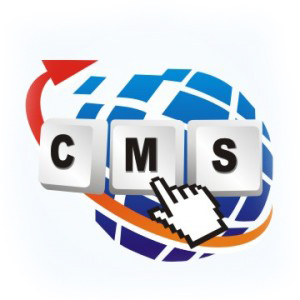 Content Management Development (CMS)