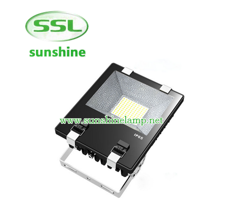 Die-casting aluminum housingAC85~265V input optionsOptical grade diffused lensGraduated angle scaleB...