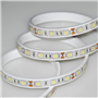 Tek Çipli, 60 LED’li – Single Chipped, 60LED Tek Çipli, 60 LED’li (Silikonlular ) – Single Chipped, ...