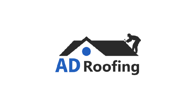 Roofing Repairs Dublin Full service Roofing Contractors for your roof, gutter cleaning and gutter re...