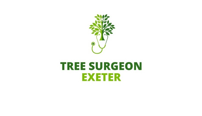 Tree Surgeon Exeter is the trusted choice for exceptional tree surgery services in Exeter and the su...