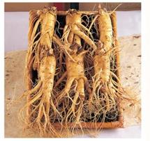 • Weight : 1kg • Quantity 3 roots : Open market price • Quantity 4 roots : Open market price • Quant...