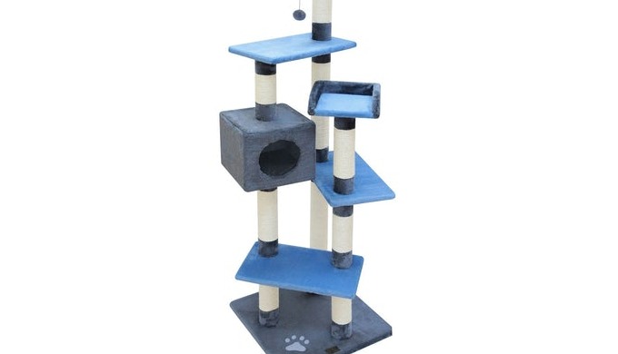 Mateus fancy Cat Pole. Dimensions : 49x49x153 cm. All cat trees are subject to availibility and will...