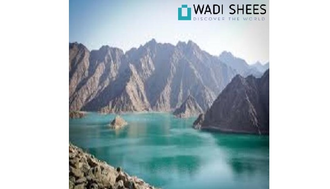 We are one of the superlative services contributors all over UAE. You can easily contact us for the ...