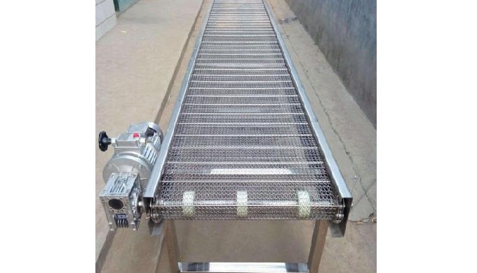 Mesh belt outlet conveyor