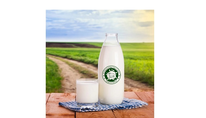 Buy the best A2 cow milk in Bangalore from gir cow farms and experience the purity of desi cow milk ...