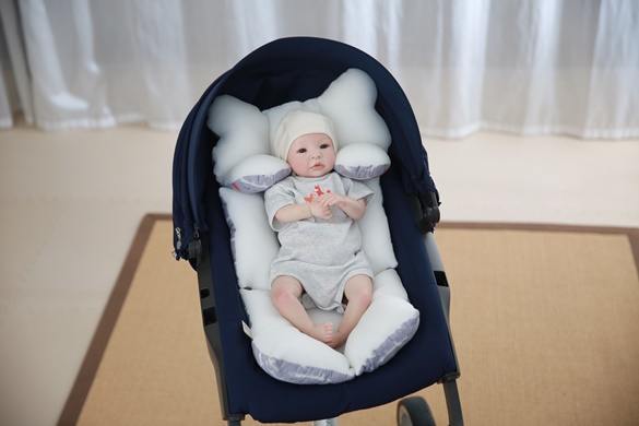 Stroller Liner 