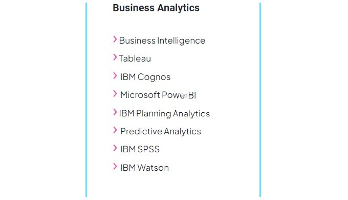 Business Analytics