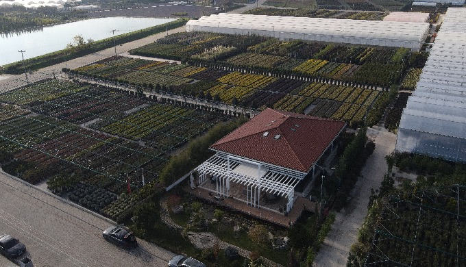300 dönüm alan üzerinde 250 çeşit çalı ve ağaç grupları üreten firmamız 80 kişilik deneyimli ekibi i...
