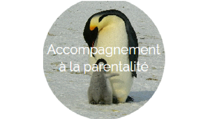 Ces soins font l'utilisation du magnétisme, des tarots et d'autres techniques que j'ai créé pour aid...