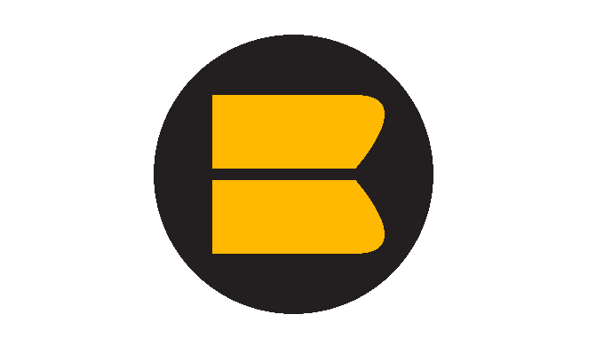 Blurrisoft experts design website, ecommerce platform, logo, social media content, and many more for...