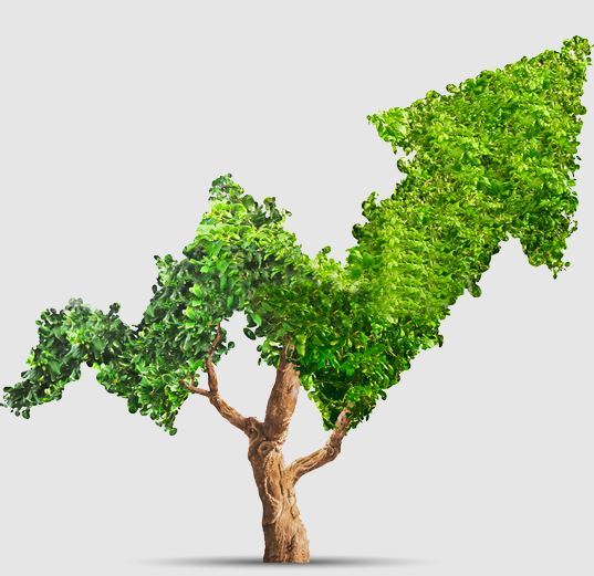 Accompagnement en développement personnel