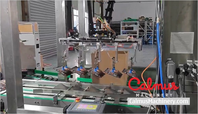Snack Bags Case Packer Machine and Packaging Line