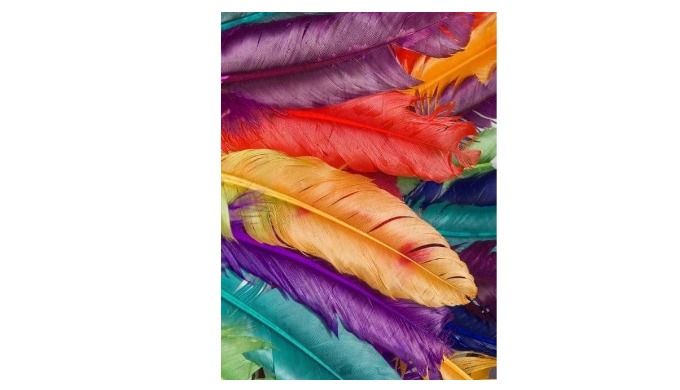 Buscamos y encontramos tu pluma perfecta